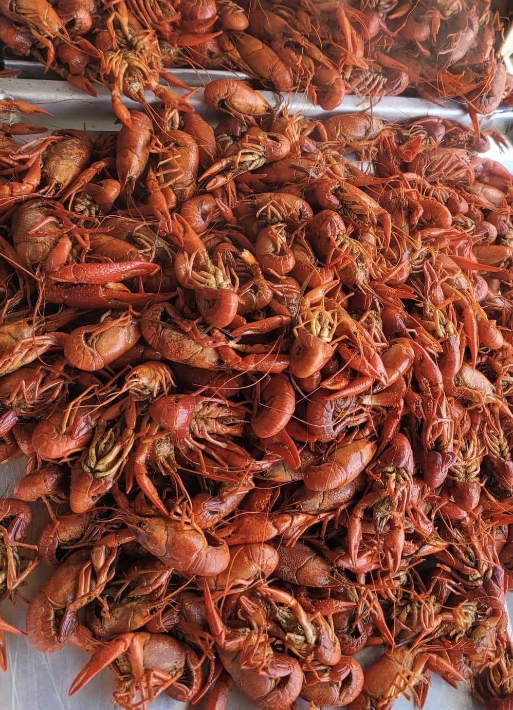 Fresh Louisiana-style boiled crawfish